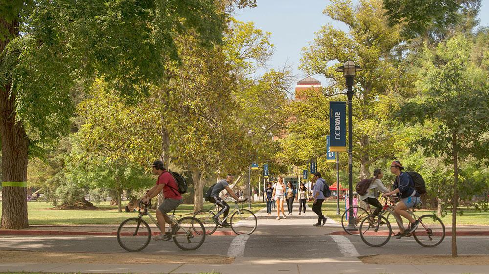 UC Davis campus